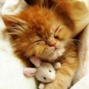 สมาชิกหมายเลข 1015186