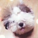 สมาชิกหมายเลข 926989