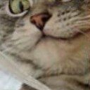 สมาชิกหมายเลข 1214411