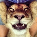 เครื่องมือค้นหา