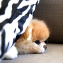 สมาชิกหมายเลข 2255613