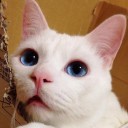 สมาชิกหมายเลข 3058319