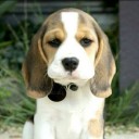 สมาชิกหมายเลข 3519867