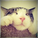 สมาชิกหมายเลข 1014952