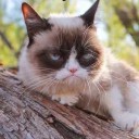 ผ่านพบไม่ผูกพัน