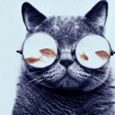 สมาชิกหมายเลข 2255970