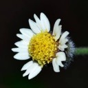 สมาชิกหมายเลข 3058715