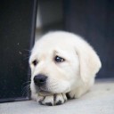 สมาชิกหมายเลข 882804