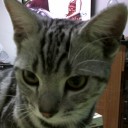 สมาชิกหมายเลข 1012642