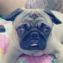 สมาชิกหมายเลข 1016114