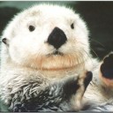 สมาชิกหมายเลข 1016180