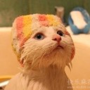 สมาชิกหมายเลข 942953