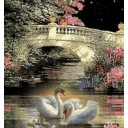 สมาชิกหมายเลข 1423758