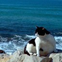 สมาชิกหมายเลข 1457437