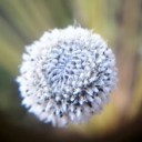 สมาชิกหมายเลข 2229939