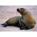 สมาชิกหมายเลข 3058901