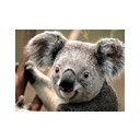 สมาชิกหมายเลข 1016298