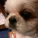 สมาชิกหมายเลข 1848915