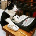 สมาชิกหมายเลข 828841