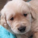 สมาชิกหมายเลข 2644764