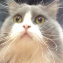 สมาชิกหมายเลข 3059414