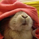 สมาชิกหมายเลข 2219504