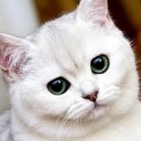 สมาชิกหมายเลข 2638138