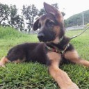 สมาชิกหมายเลข 1739973