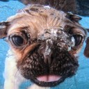 สมาชิกหมายเลข 737812