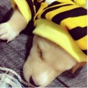 สมาชิกหมายเลข 1014964