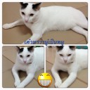 สมาชิกหมายเลข 1017216