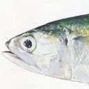 สมาชิกหมายเลข 3521975