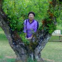 สมาชิกหมายเลข 1017582