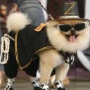 สมาชิกหมายเลข 2257603