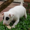 สมาชิกหมายเลข 2257681