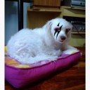 สมาชิกหมายเลข 2633437