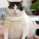 สมาชิกหมายเลข 1221782