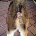 สมาชิกหมายเลข 1299946