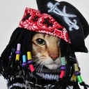 สมาชิกหมายเลข 1422113