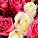 สมาชิกหมายเลข 1013596