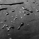 สมาชิกหมายเลข 1018067