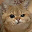 laughter in the rain