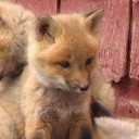 สมาชิกหมายเลข 1425939