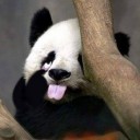 สมาชิกหมายเลข 2299234