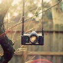 สมาชิกหมายเลข 3061818