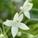 สมาชิกหมายเลข 1018807