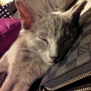 สมาชิกหมายเลข 866288