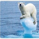 สมาชิกหมายเลข 1136970