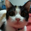 สมาชิกหมายเลข 1851390