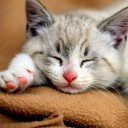 สมาชิกหมายเลข 2171656